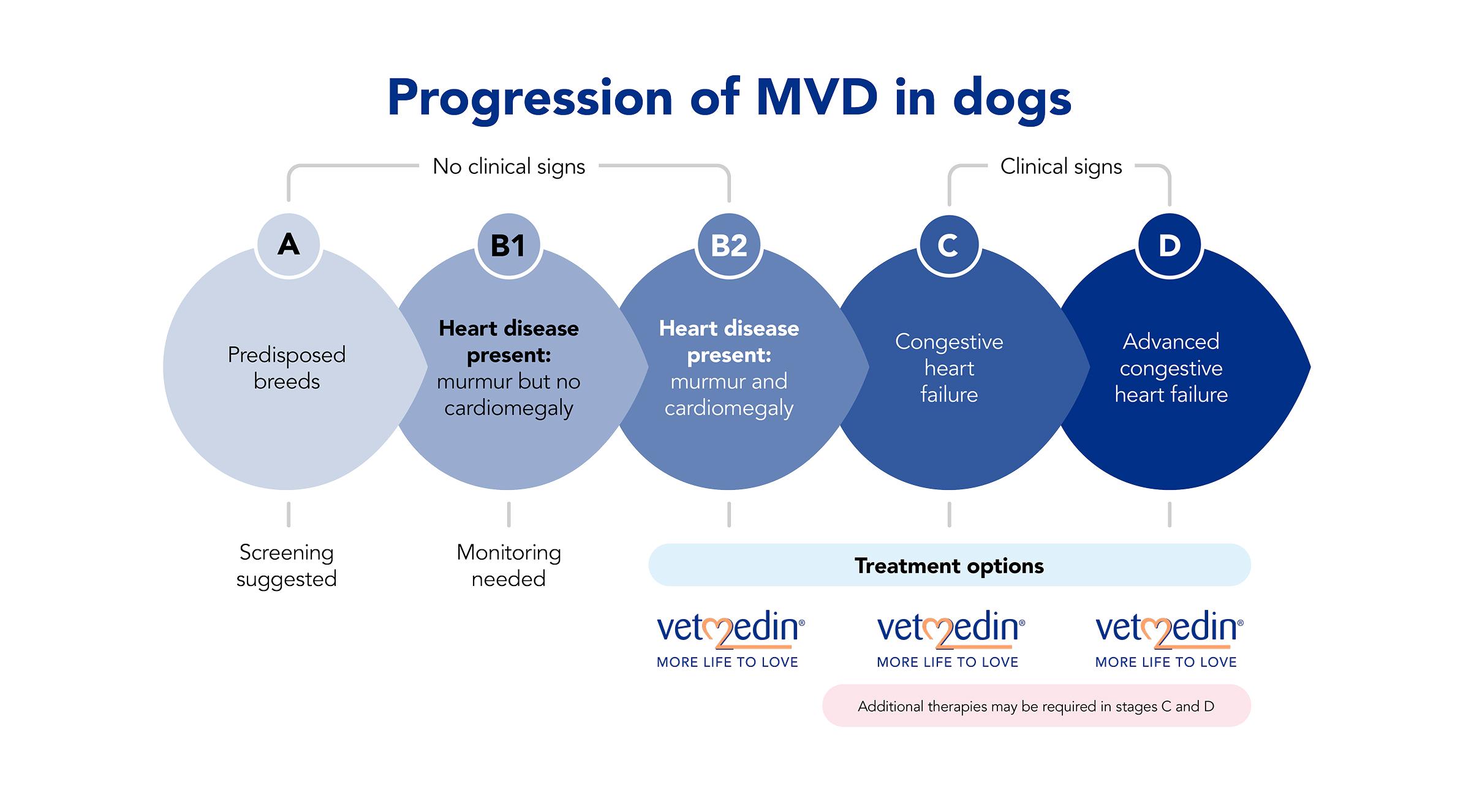 For Vets | Vet.Vetmedin.co.uk